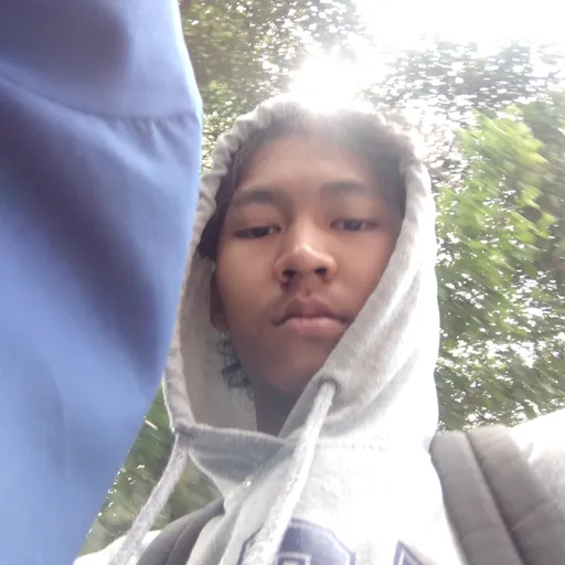 Profil CV Alfin Noval Hadi 