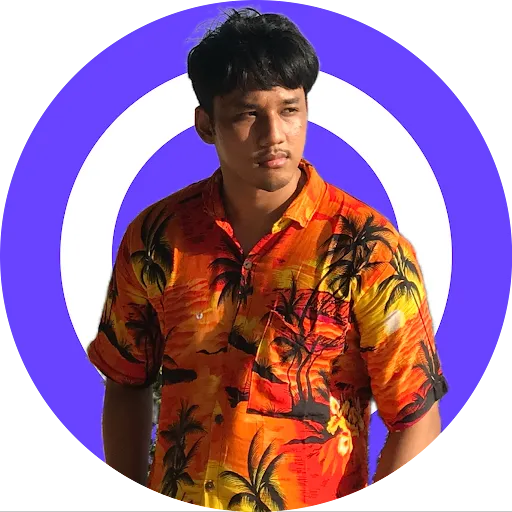 Profil CV ALIEFFACHRUL RAMADHAN 17.12.0352