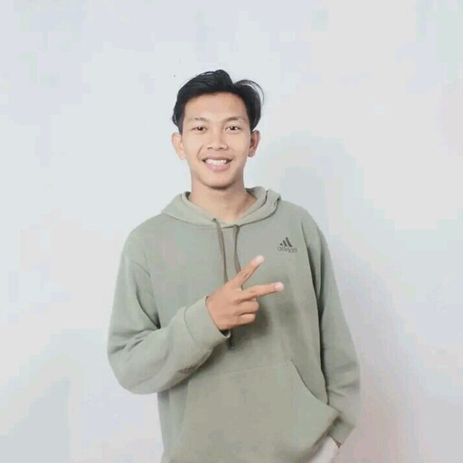 Profil CV Alwi Ahmad Fauzi
