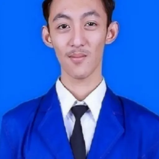Profil CV AlxRafid