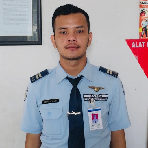 Profil CV Anggi Renaldi Pane