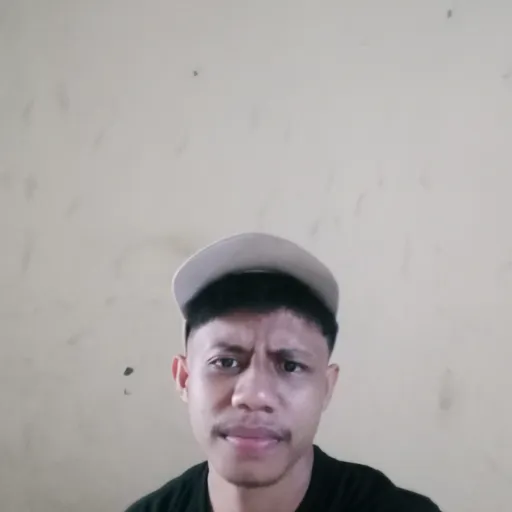 Profil CV Erwin Lola