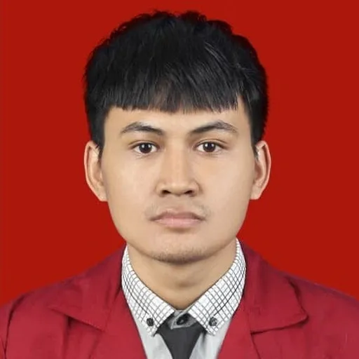 Profil CV arbi ilhami