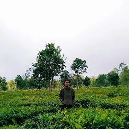 Profil CV Ardianto Rudi