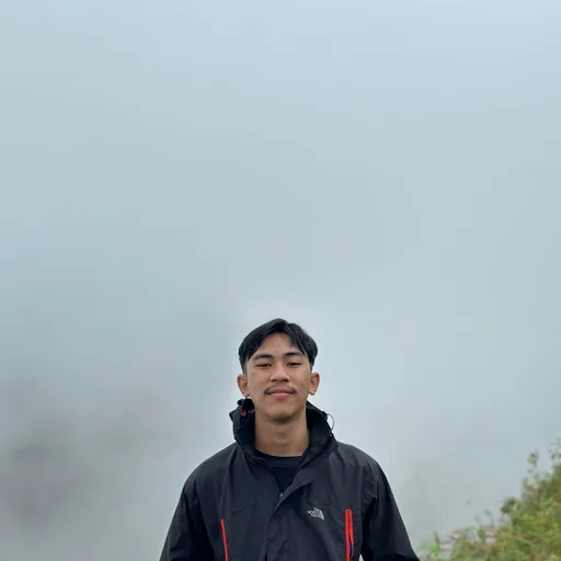 Profil CV ardy arfa