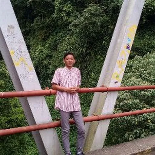 Profil CV Ariel prananda