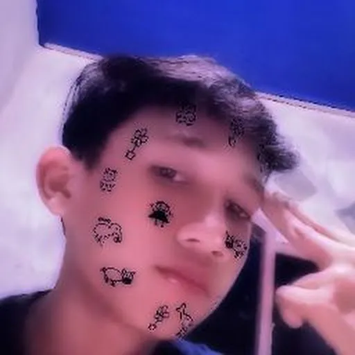 Profil CV Aris Wahyudi