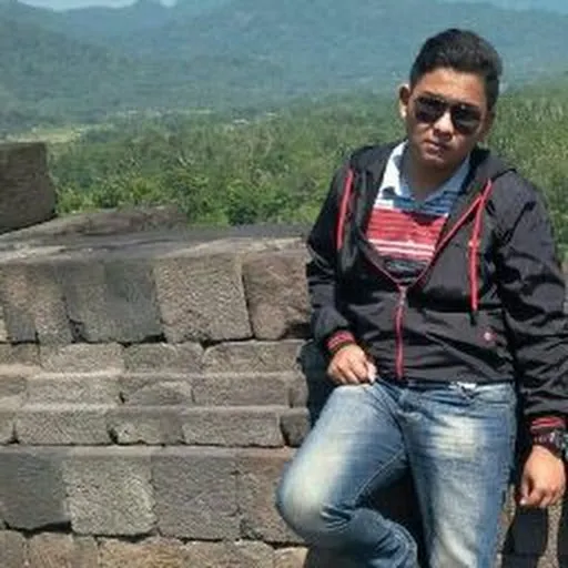 Profil CV arya tirafi