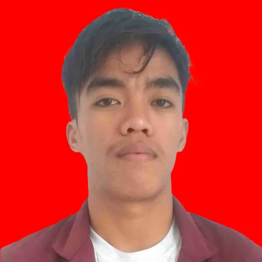 Profil CV ASHARI