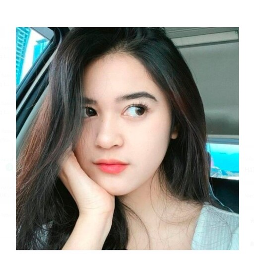 Profil CV intan