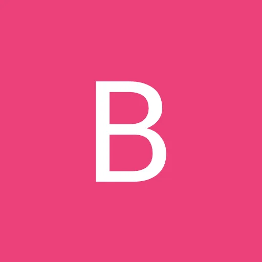 Profil CV Babayo Babayo