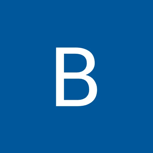 Profil CV Bashind