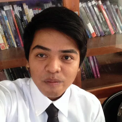 Profil CV Bee Punk