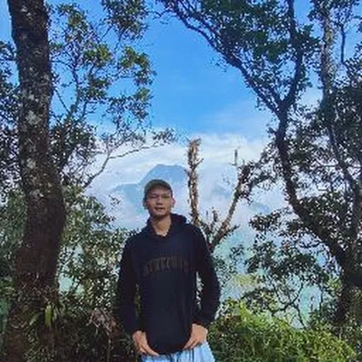 Profil CV Bintang Diaz