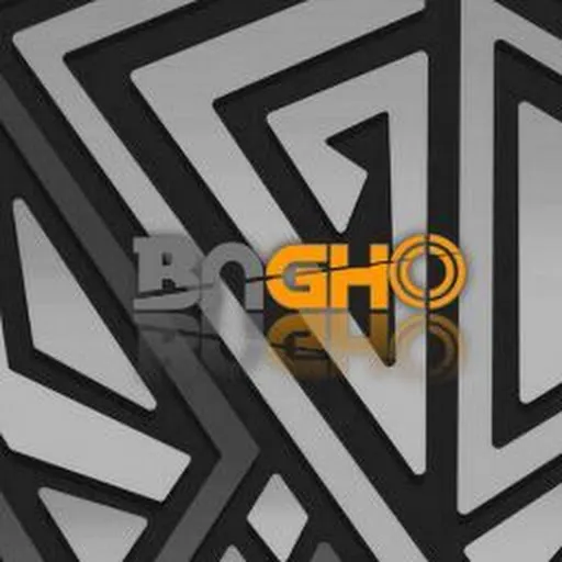 Profil CV Bng Ho