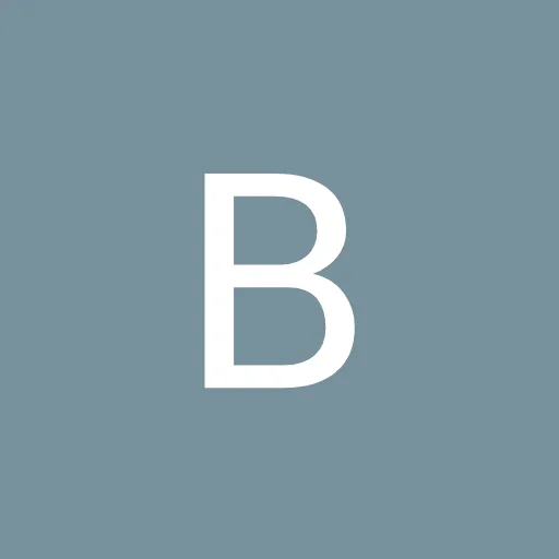 Profil CV Bramantio Wibowo