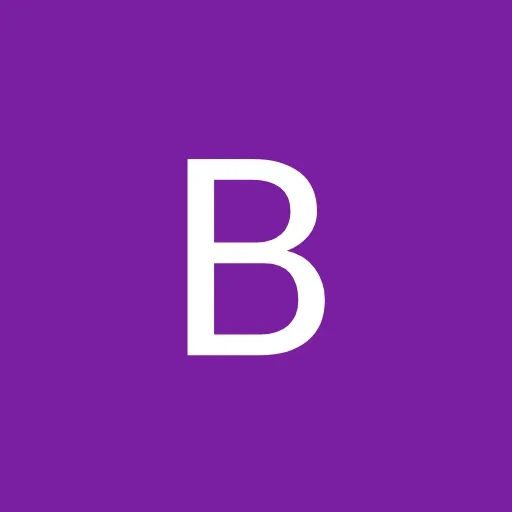 Profil CV Bram Broo