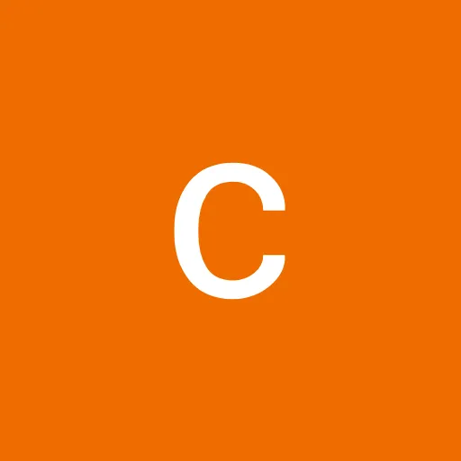 Profil CV c3n C3n