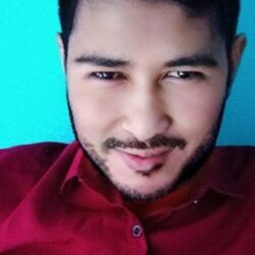 Profil CV Ceppi