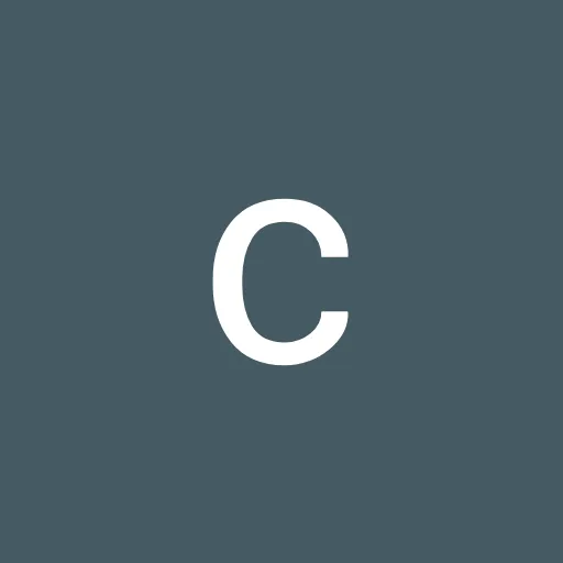 Profil CV karimrizk