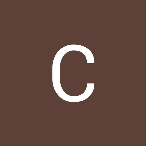 Profil CV Cristian_ Lay