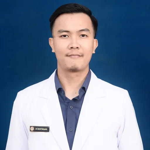 Profil CV David Febryanto - Internship