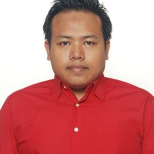 Profil CV David Ricardo