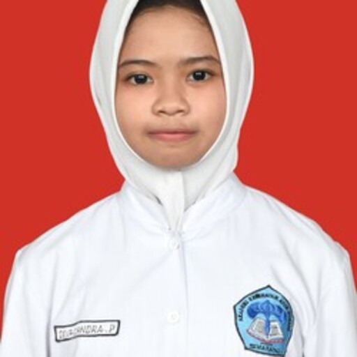 Profil CV Deva Candra Pradipta