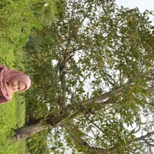 Profil CV Dewi Anisyah