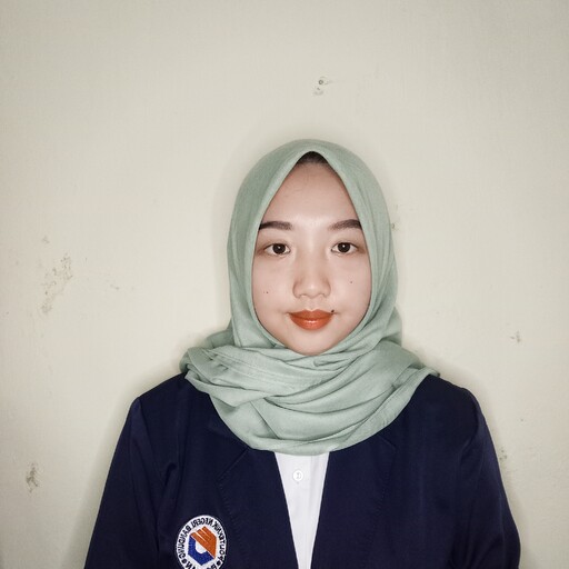 Profil CV Dilla