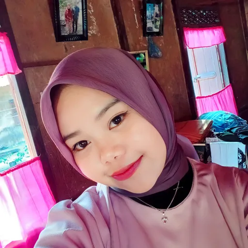 Profil CV Dini - SMA negeri 1 gunung tuleh 