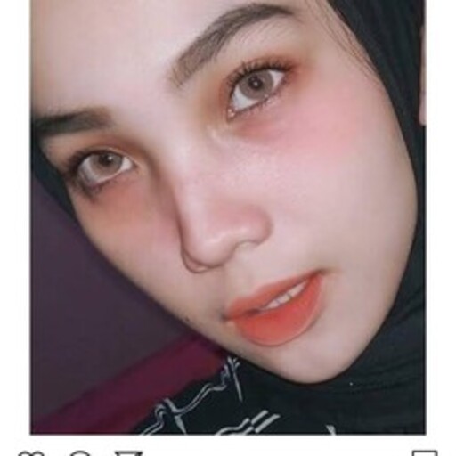 Profil CV Dina arulia
