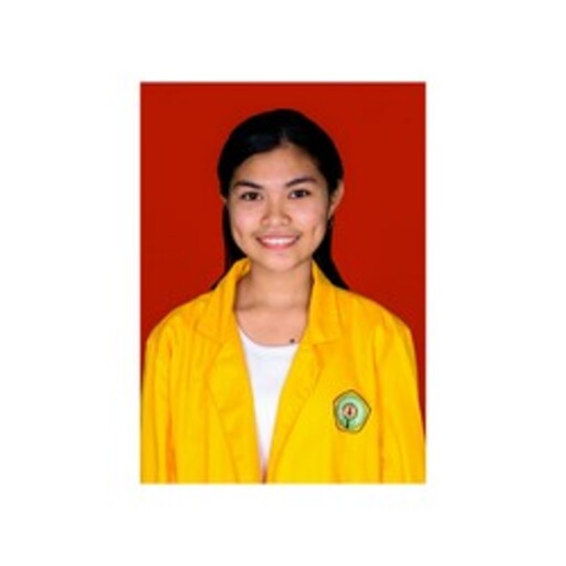 Profil CV Dosince Margareta Metkono - Universitas nusa cendana