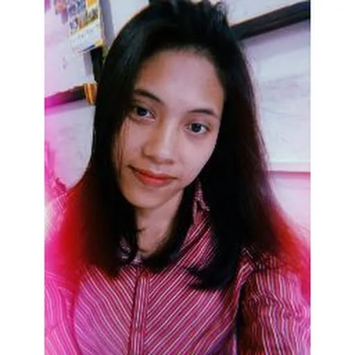 Profil CV endang manurung