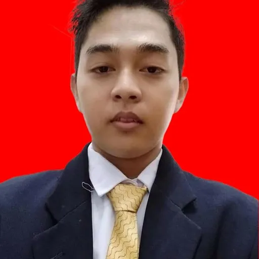 Profil CV Erdin