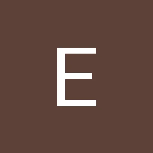 Profil CV Erlan Ganz