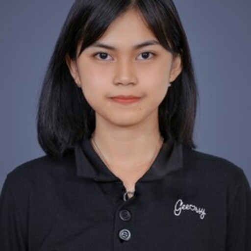 Profil CV Ervina