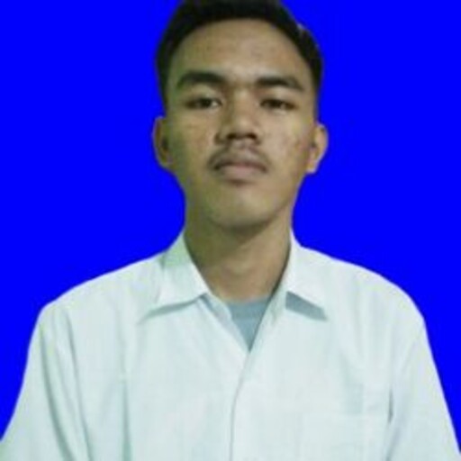 Profil CV Faisal Mustofa