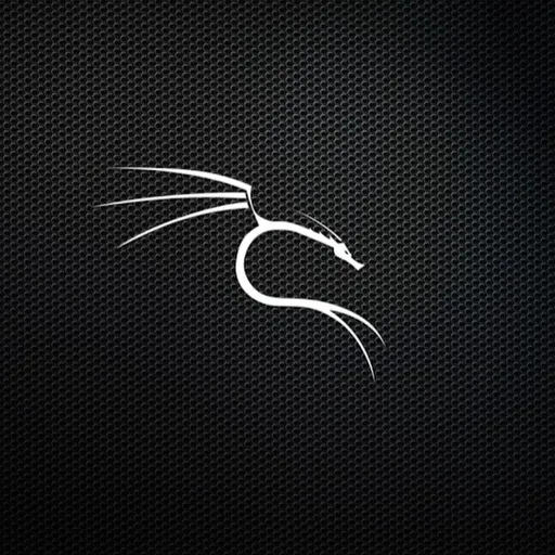 Profil CV singa lada