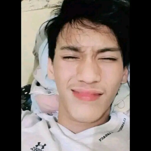 Profil CV Ferdi  Hasari