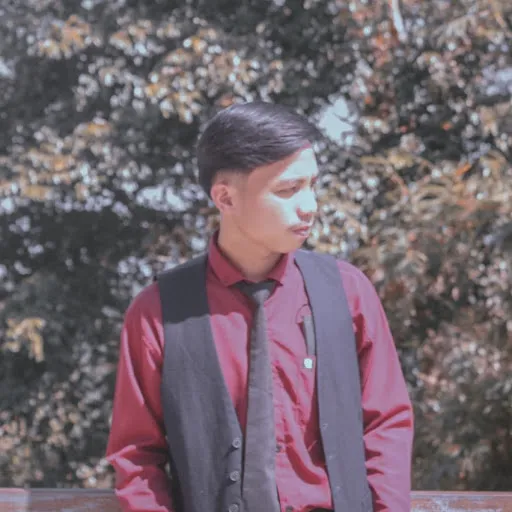Profil CV ALFA ANUGERAH TELAUMBANUA