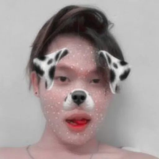 Profil CV Frans 26 09 21