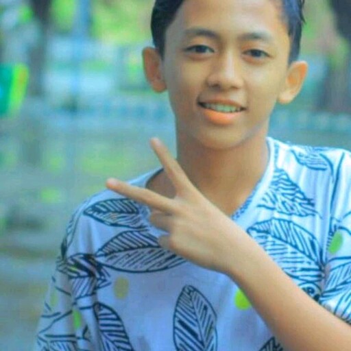 Profil CV Fudin
