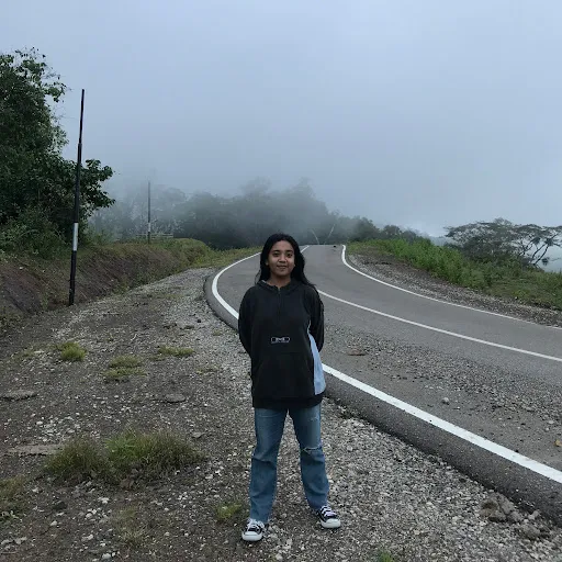 Profil CV Gladis aprilin dethan