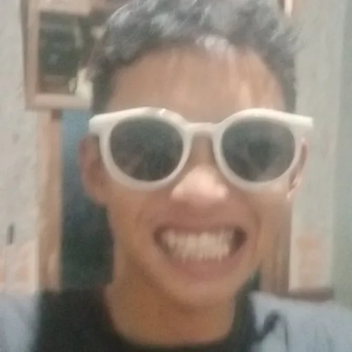 Profil CV Grizzly