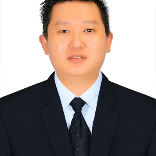 Profil CV KELVIN LOES LIM