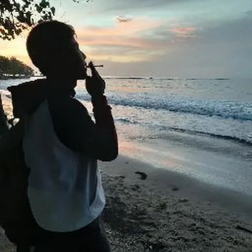 Profil CV hafidz ayatullah roseni