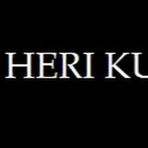 Profil CV heri kurniawan