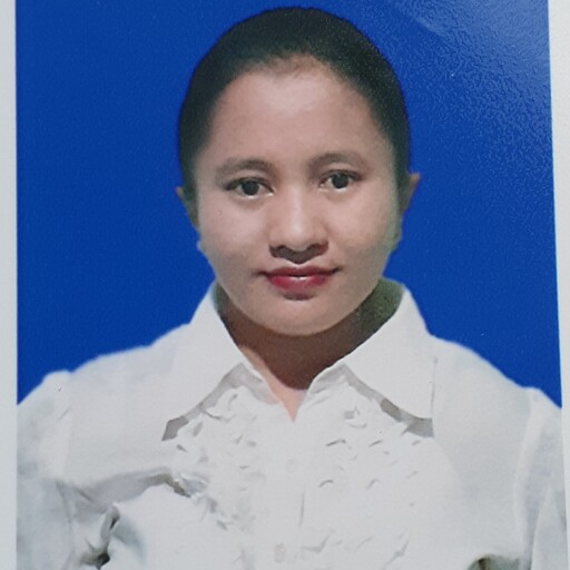Profil CV Hotmaida Tampubolon