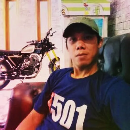Profil CV Indra Lugina